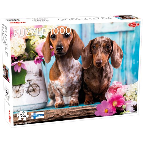 Dashing Dachshunds